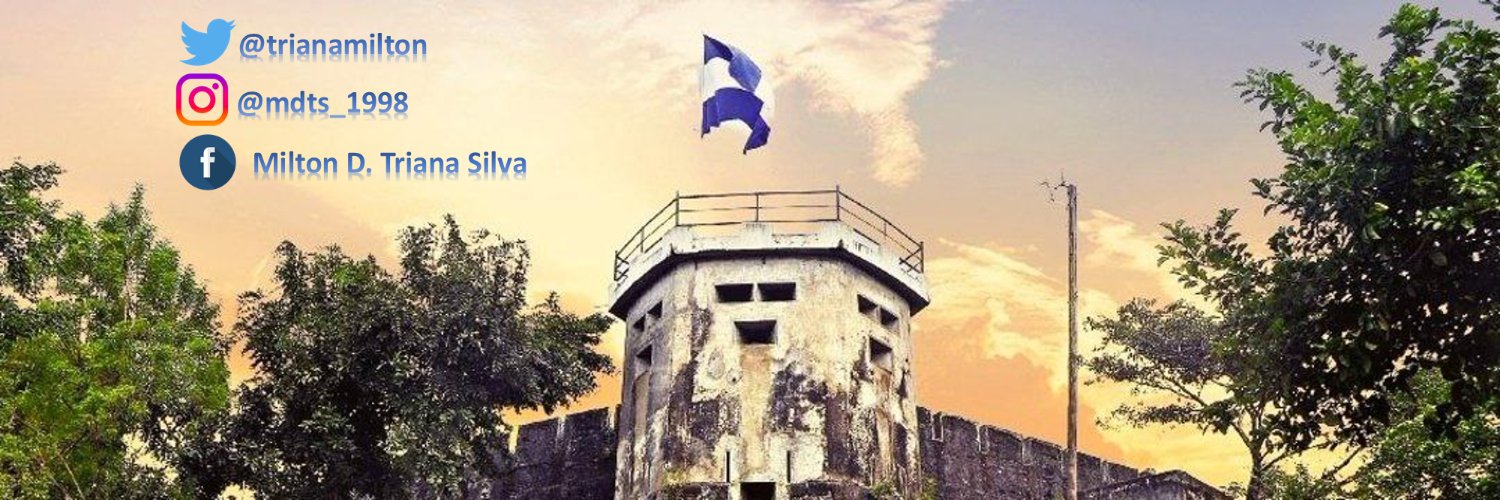 trianamilton's profile banner image