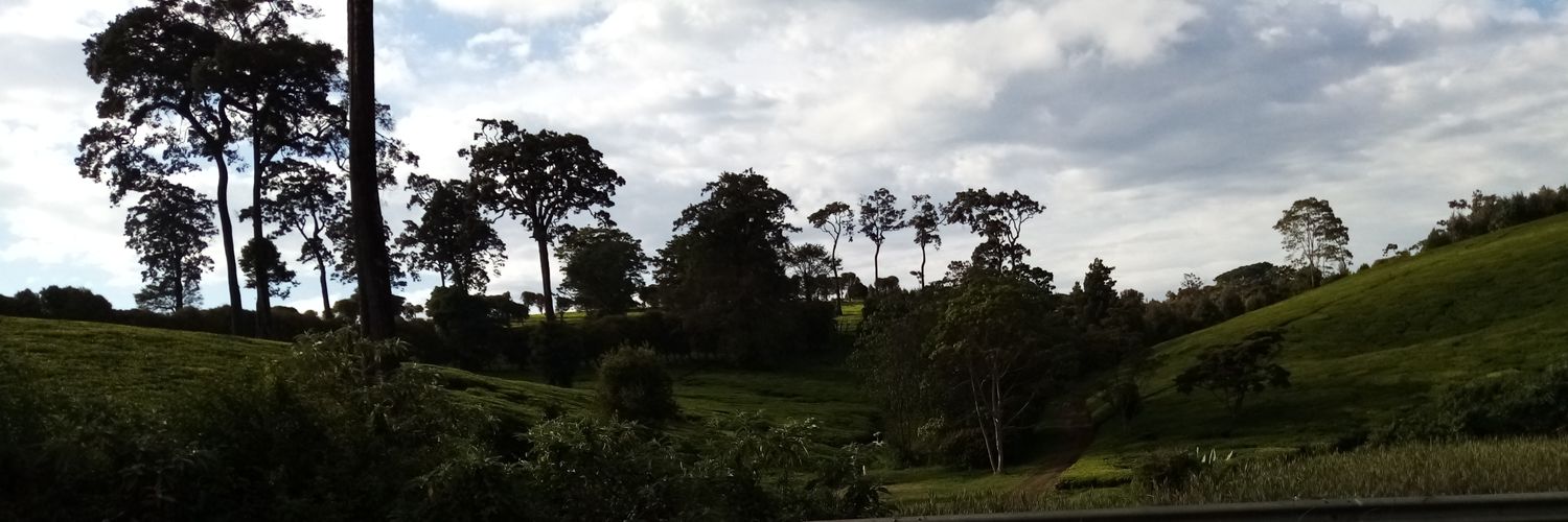 MwasMwass's profile banner image