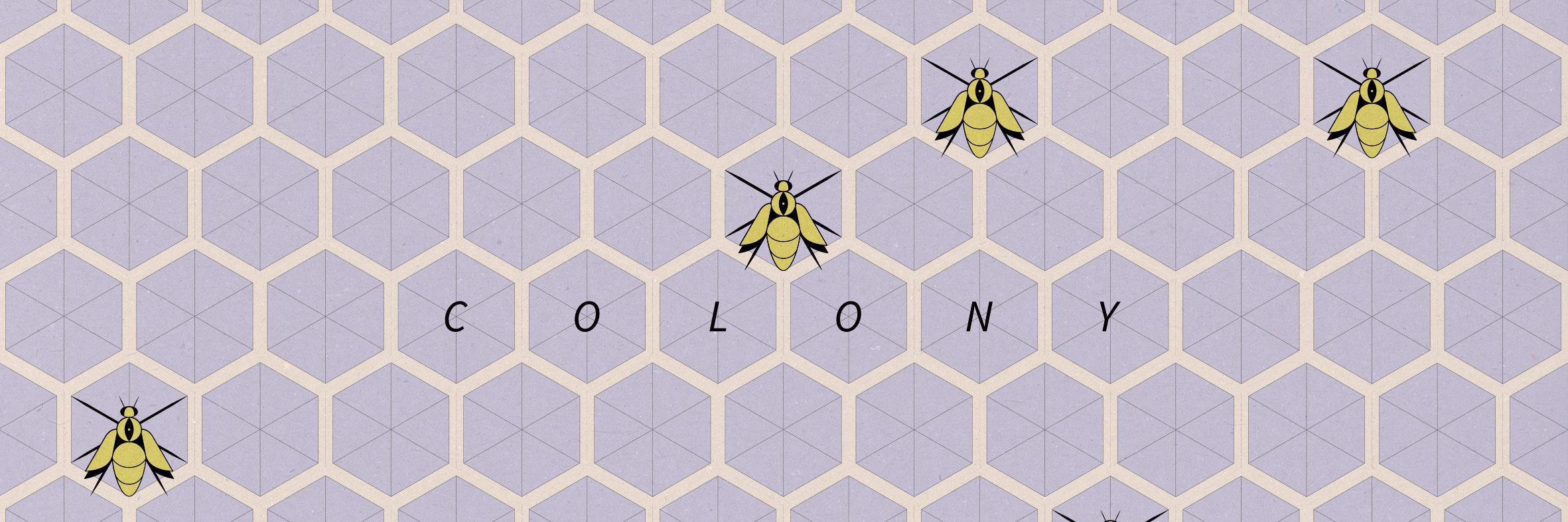 colony_pr's profile banner image