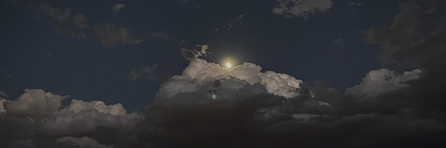 callmeemys's profile banner image