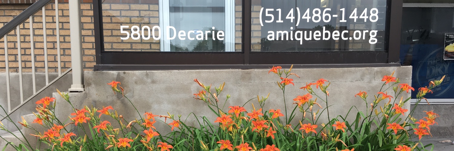 AMIQuebec's profile banner image