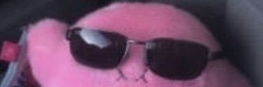 FancyFish666's profile banner image