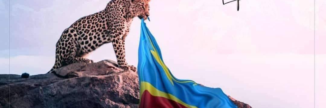 🇨🇩 M'Roy _ kongolaisement votre 🤟🏾🦂 banner