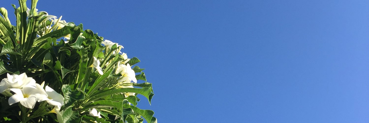 gleisirose's profile banner image