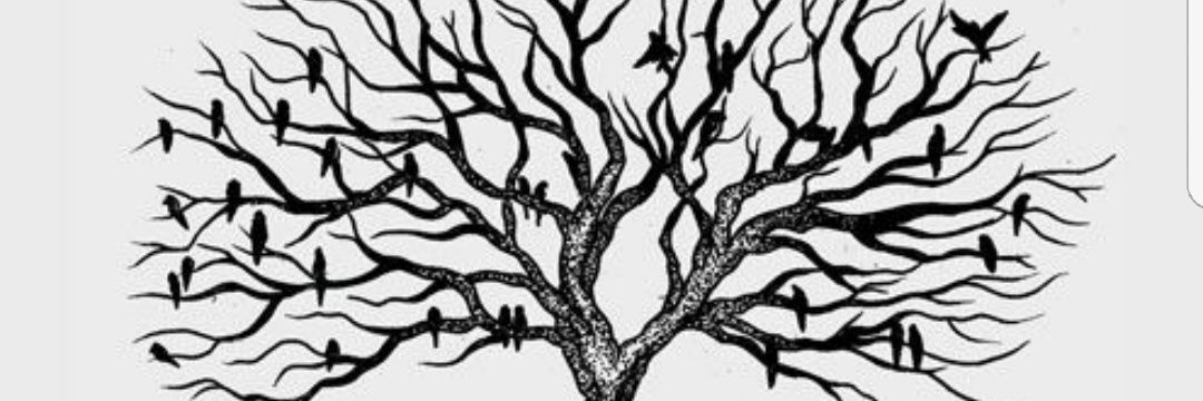 kyemom's profile banner image