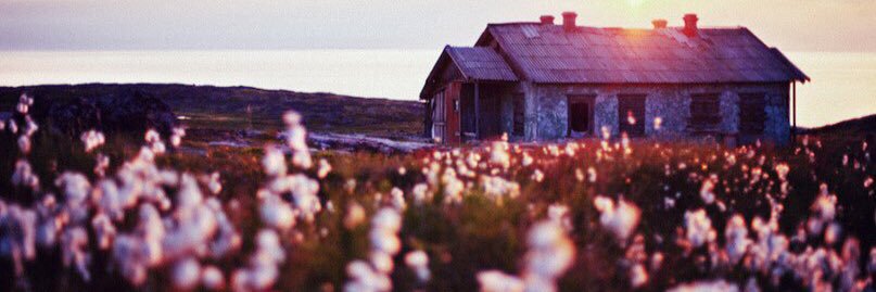 MariaPopMaria's profile banner image