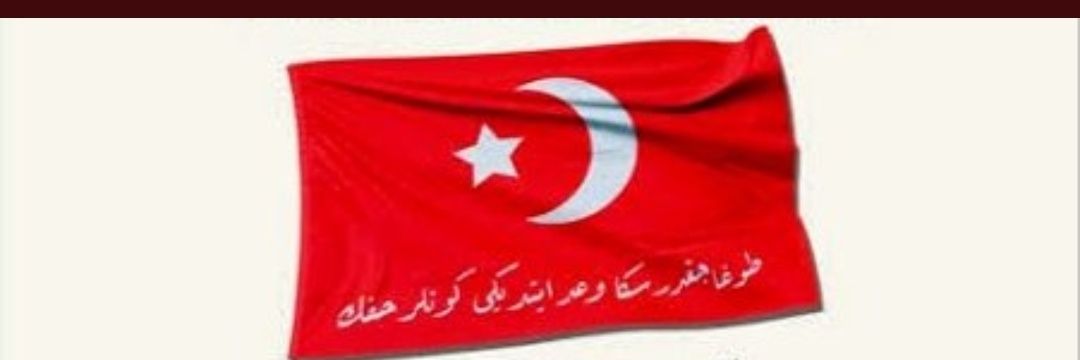 taceddinsertan banner