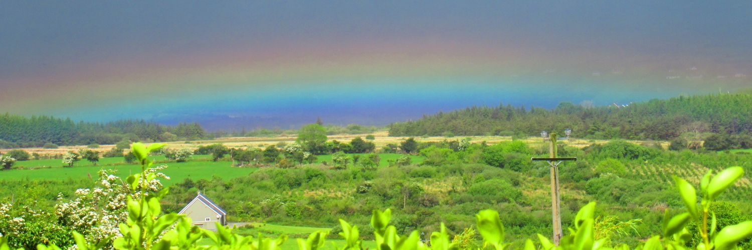 Rebecca Belasco banner