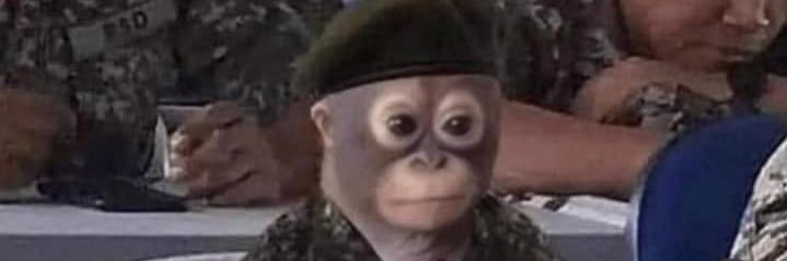 coconach's profile banner image
