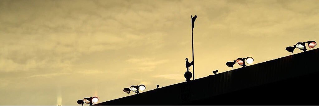 scottcushing's profile banner image