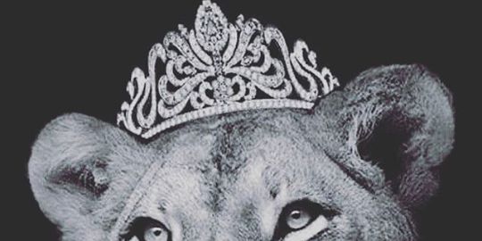 LayDee_ASA's profile banner image