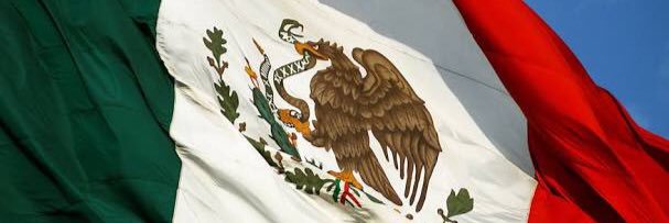 Javier Merino banner