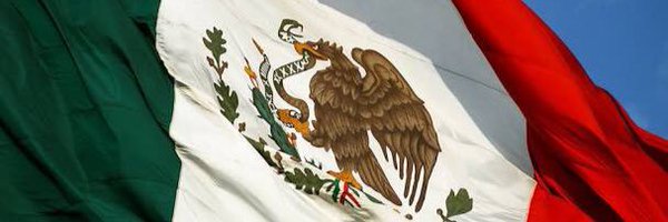 MerinoCNN Profile Banner