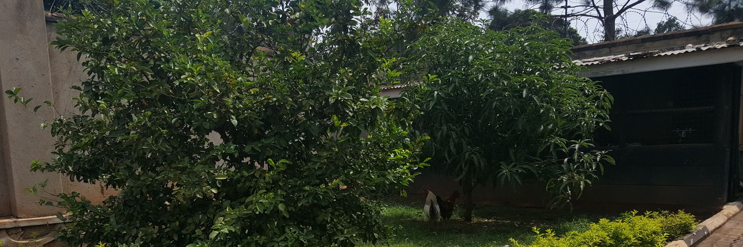 Patrick Walugembe banner