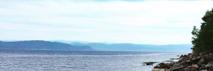 SarahSeeton's profile banner image