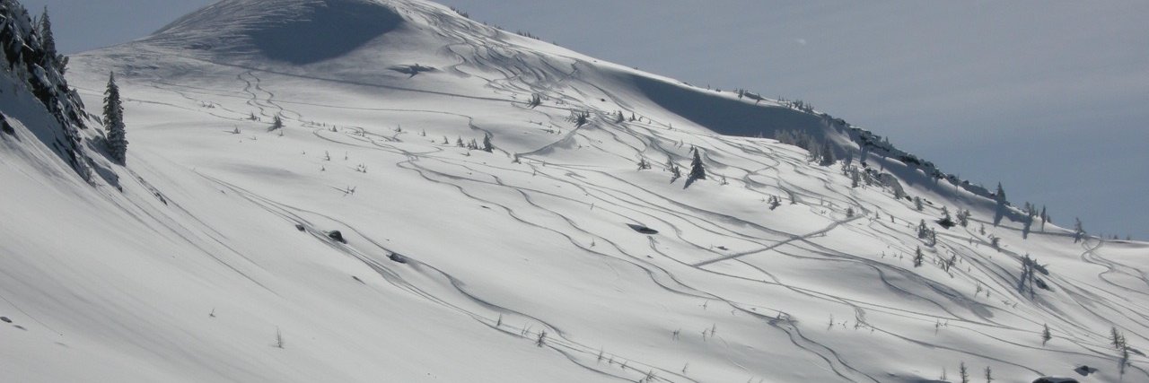 Amor De Cosmos banner