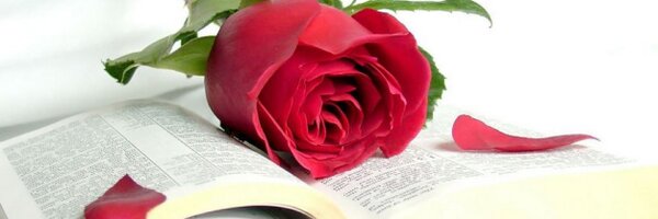 13RoseLov Profile Banner