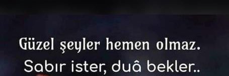doğan43gül 36 banner