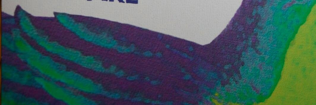 CataCortesGut's profile banner image