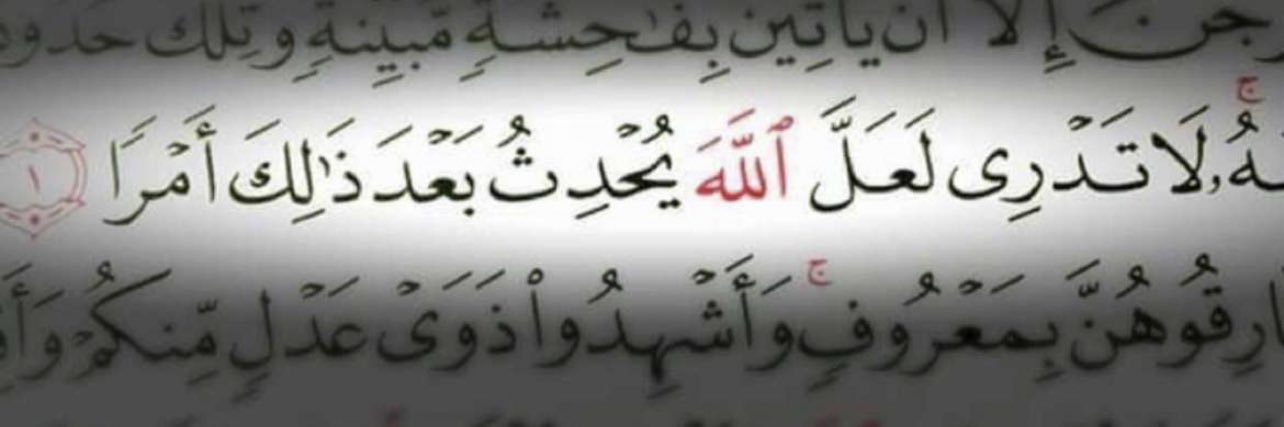 yusif_neda's profile banner image