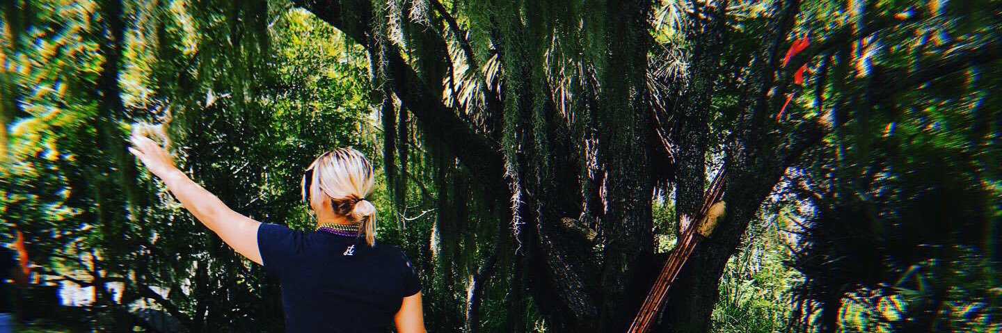 delbell16's profile banner image