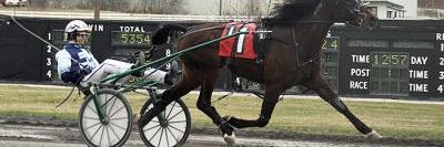 🇫🇷Romain Porée🐎 banner