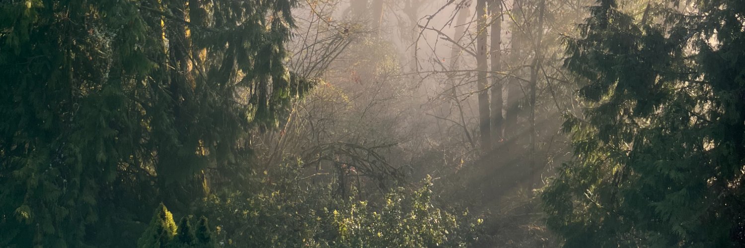 ConnorPeet's profile banner image