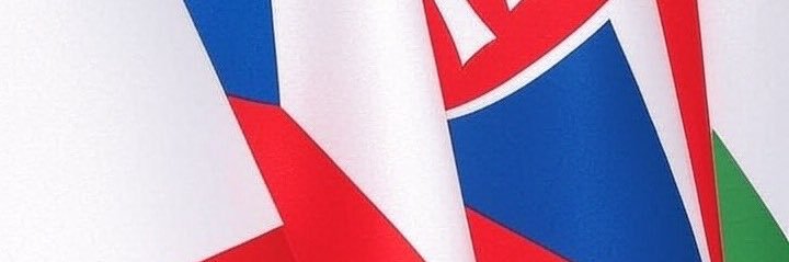 Lemur Gazda banner
