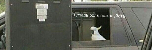 SkipHeartBeat's profile banner image