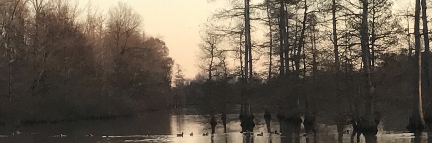 ClayChandler2's profile banner image