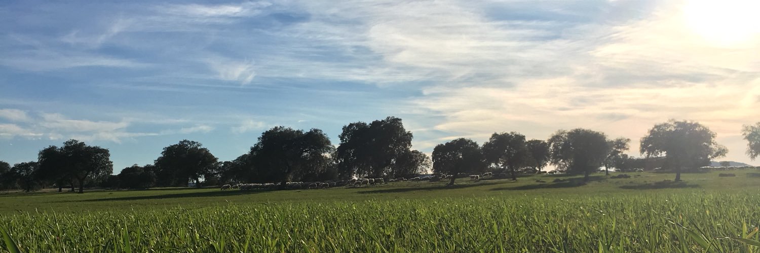 manuel_4_'s profile banner image