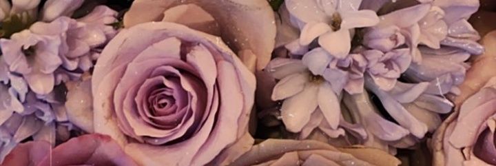 leannysuarez's profile banner image