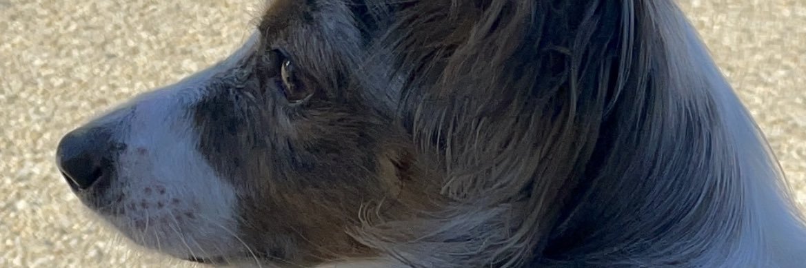 ajlsmomma's profile banner image