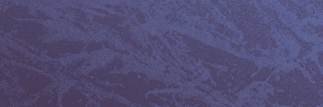 Riel "Tribor" Foidart banner