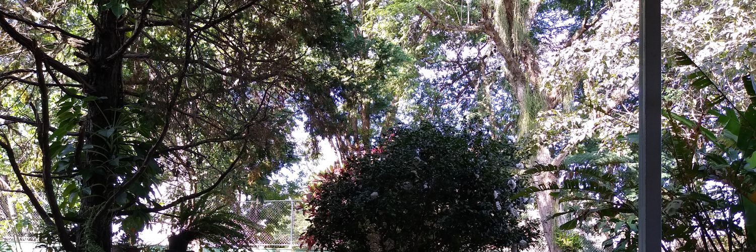 Correa1983's profile banner image