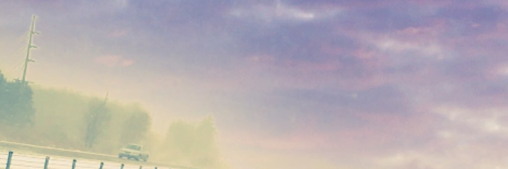 Trevor Harder banner