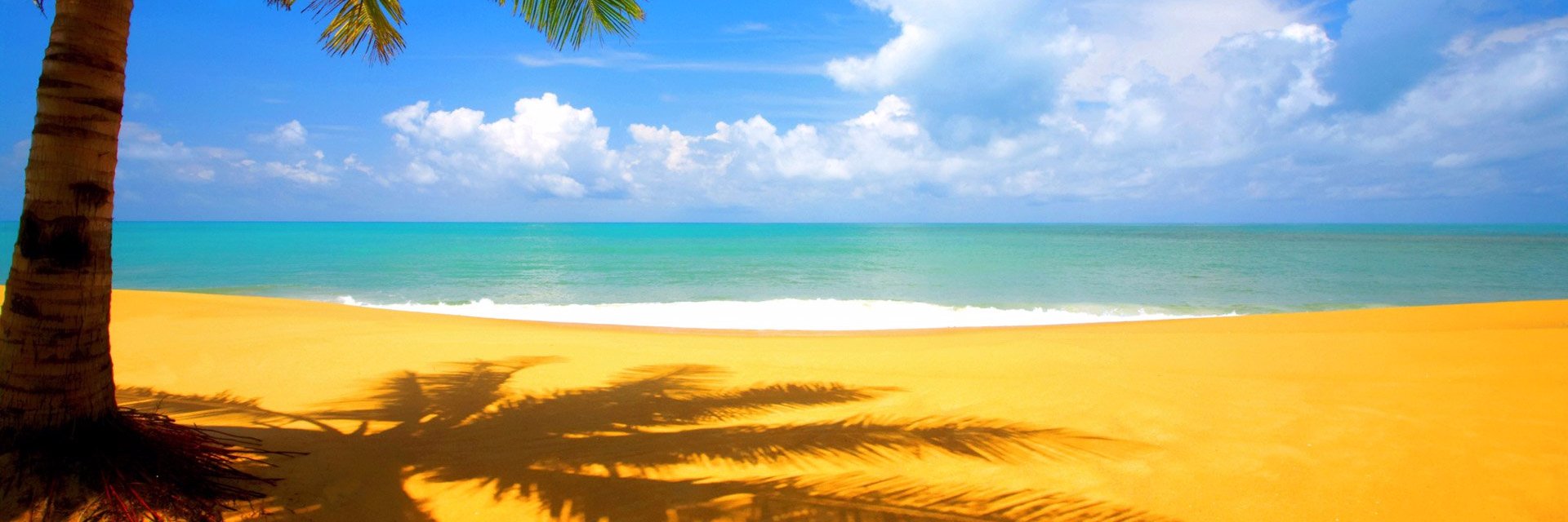 BEA #TeamSilFriends banner