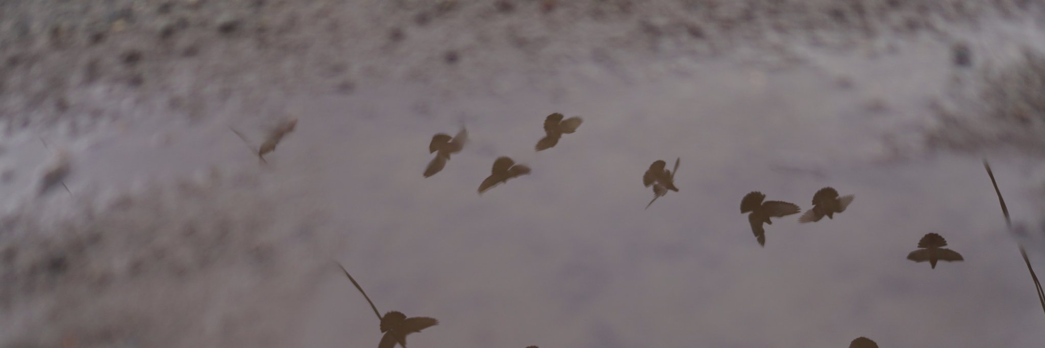 Jobertean's profile banner image