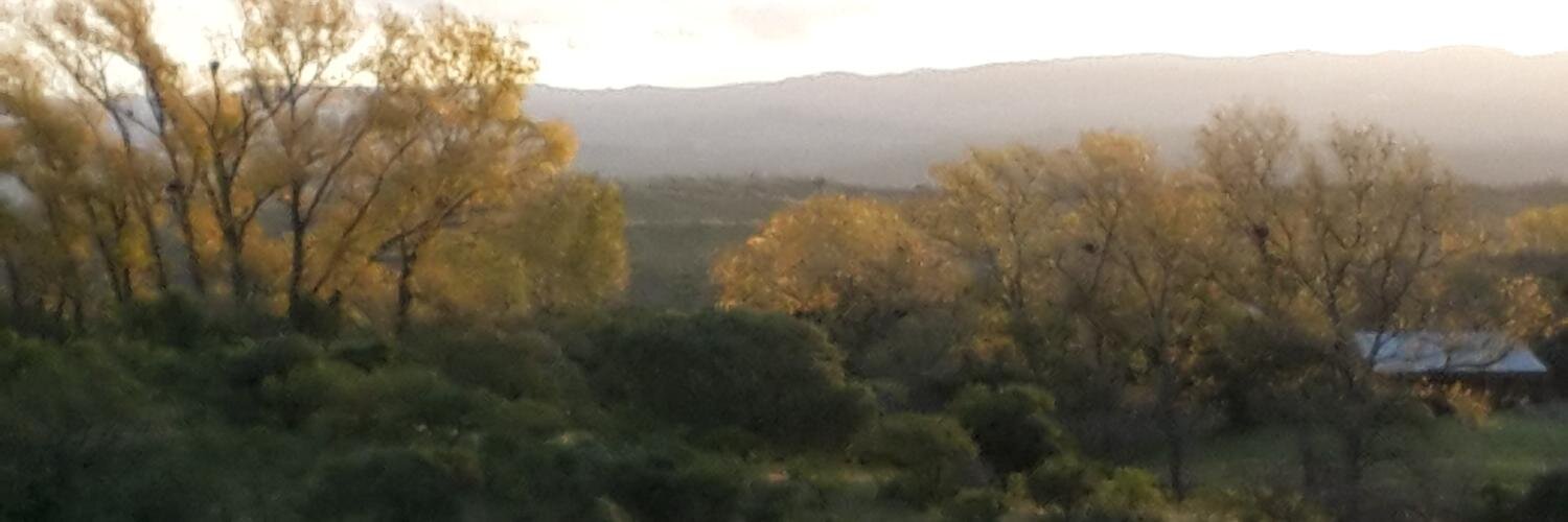 RobertoWerner's profile banner image