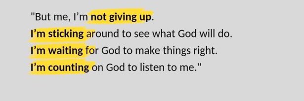 Field Marshal Biyzeey banner