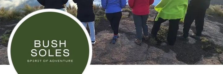 Bizzaroe's profile banner image