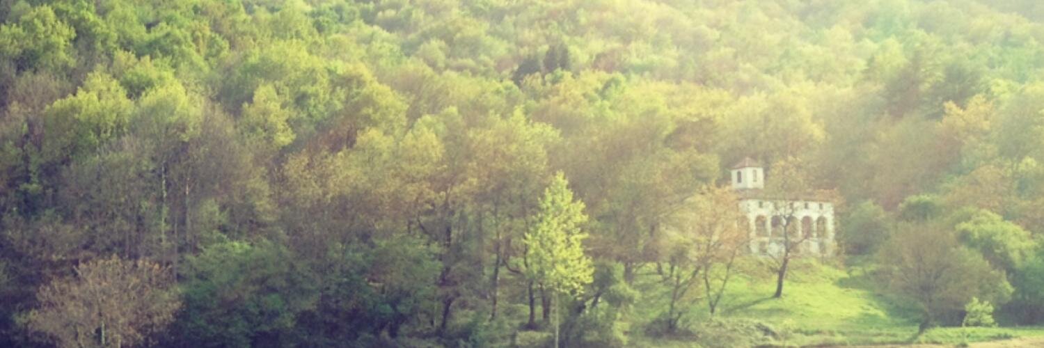 juliamulleras's profile banner image
