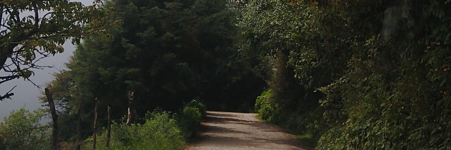 AlejandraRGlez's profile banner image