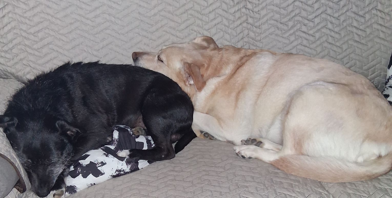 Expreso de medianoche 🇹🇷 banner