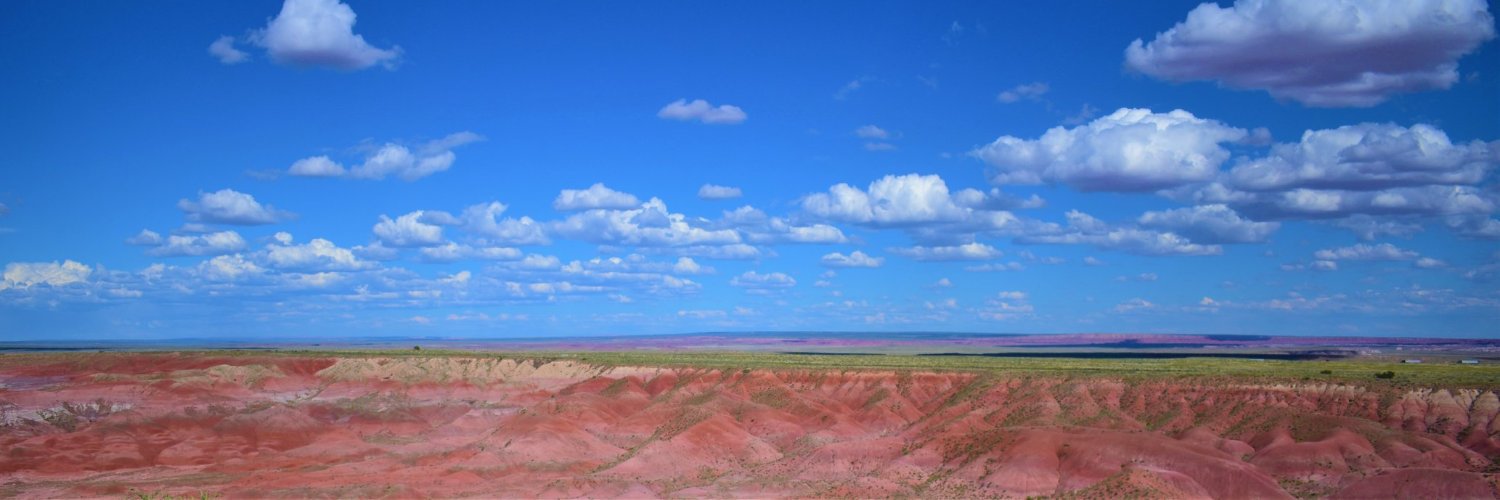 Kyle McCallum banner