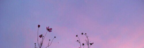 forever354's profile banner image