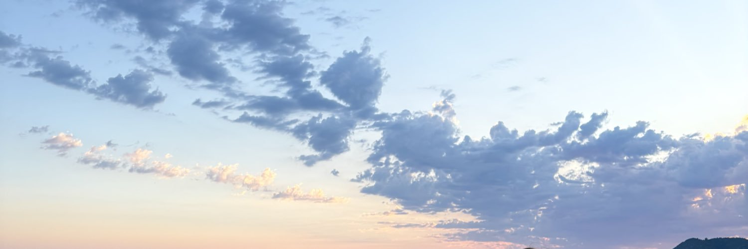 sedefnur_'s profile banner image