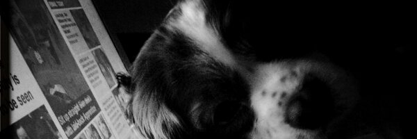coloursflydes Profile Banner