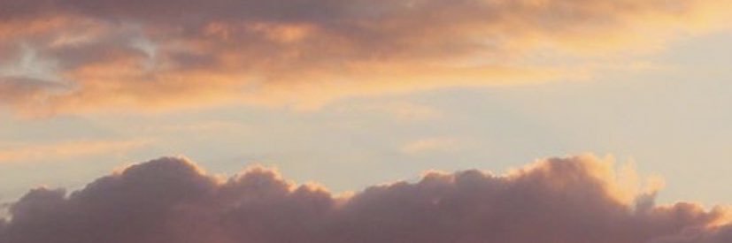 bertarodrii's profile banner image