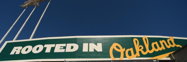 Paul Freedman banner